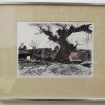 630 7648 LITOGRAPH (F)